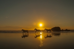 Golden Horses