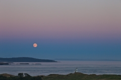 Cattle Point