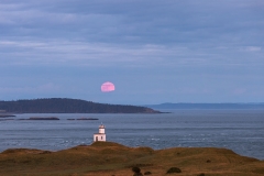 Full Moon