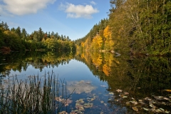 Pond
