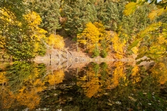 Reflections