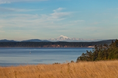 Mt. Baker
