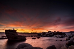 Wild Sunset
